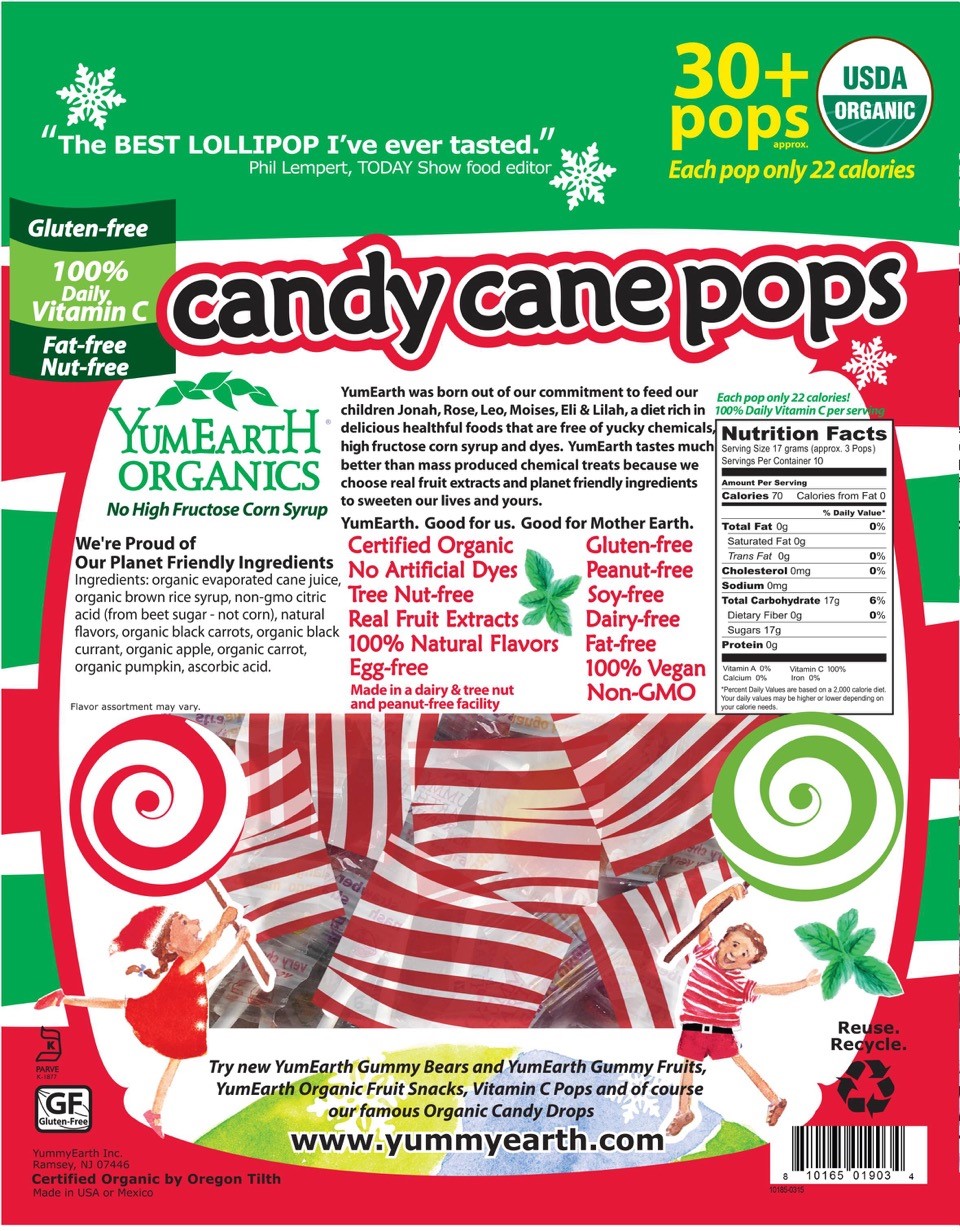 Holdbart | Candy Cane Pops